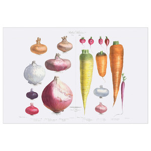PJÄTTERYD Picture, Onions, radishes and carrots, 118x78 cm