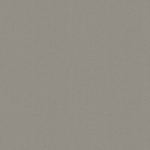 Kitchen Splashback Laminated Wall Panel 0.3 x 60 x 200 cm, grey matt zinc