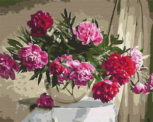 Symag Painting by Numbers Peonies 14+