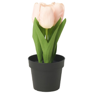 FEJKA Artificial potted plant, in/outdoor/tulip pink, 9 cm