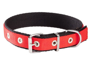 Dingo Dog Collar 2.5cm/65cm, red-black
