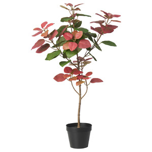 FEJKA Artificial potted plant, in/outdoor smoke tree, 12 cm