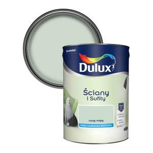 Dulux Walls & Ceilings Matt Latex Paint 5l sweet mint