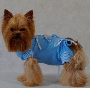 Grande Finale Postoperative Shirt for Dogs Size 4 / 44cm, blue