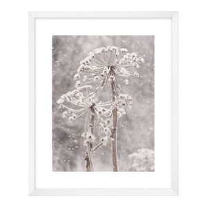 Picture Snow-covered Flowers 40 x 50 cm