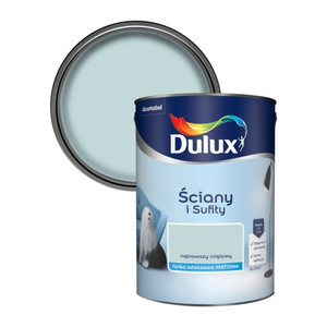 Dulux Walls & Ceilings Matt Latex Paint 5l newest mint