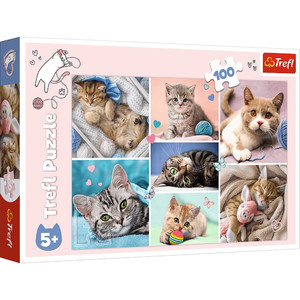 Trefl Children's Puzzle Cats' World 100pcs 5+
