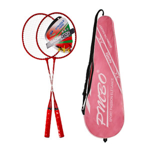 Badminton Set 14+