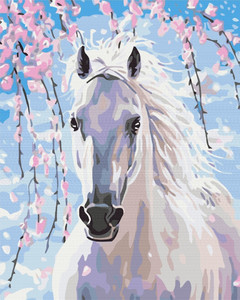 Symag Painting by Numbers Horse 6+
