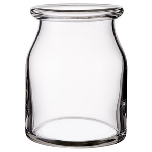 BEGÄRLIG Vase, clear glass