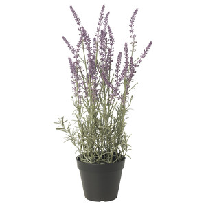 FEJKA Artificial potted plant, in/outdoor/Lavender lilac, 12 cm