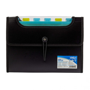 Document Folder with Dividers A4 25mm 12 Pockets, black