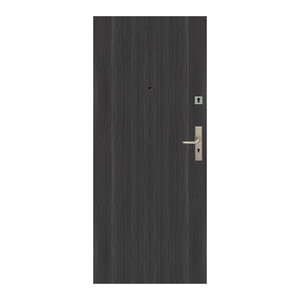 Flat Entrance Door Dominos 90, left, graphite