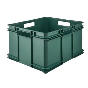 GoodHome Storage Container Box Ando XXL 54 l, green