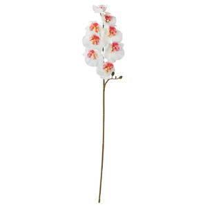 SMYCKA Artificial flower, in/outdoor/Orchid white, 60 cm