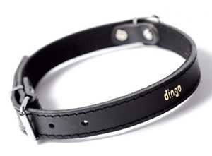 Dingo Leather Dog Collar 1.6x45cm, black