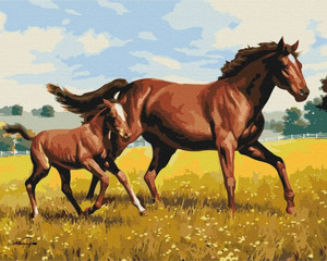 Symag Painting by Numbers Family Gallop 14+