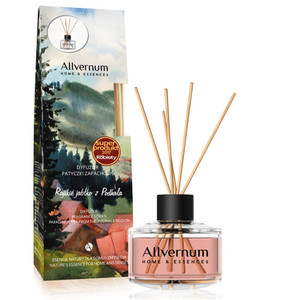 Allvernum Home & Essences Fragrance Sticks Apple & Cinnamon
