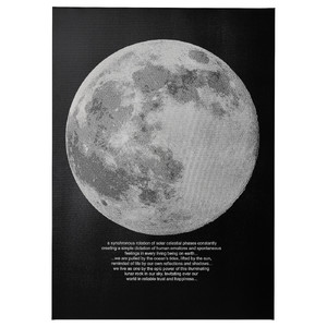 PJÄTTERYD Picture, moonlight, 50x70 cm