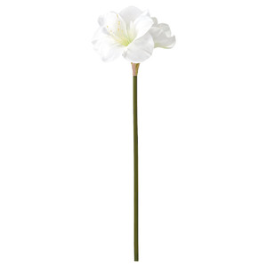 VINTERFINT Artificial flower, in/outdoor/Amaryllis white, 60 cm