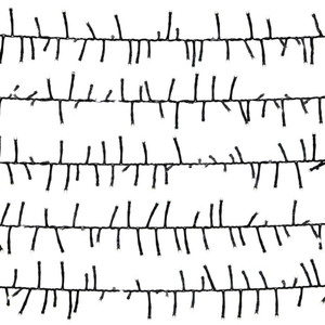 Christmas Lights 1000 LED, cool white, in-/outdoor