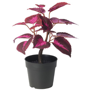FEJKA Artificial potted plant, in/outdoor Painted nettle/red, 9 cm