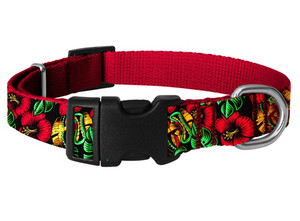 CHABA Adjustable Dog Collar Story L 2.5cm, waikiki