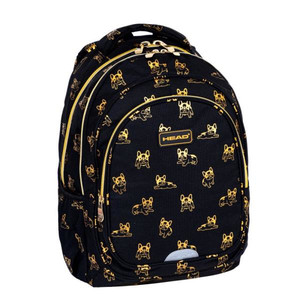 School Backpack 30x42x16 Head Gold French