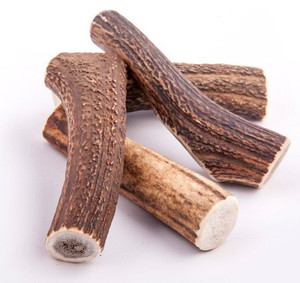 4DOGS Natural Dog Chew from Discarded Antlers, XS Hard 1pc