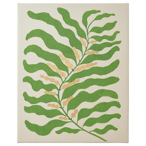 PJÄTTERYD Picture, green frond, 40x50 cm