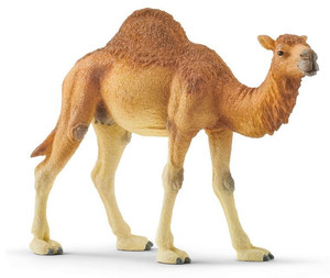 Schleich Dromedary 3+