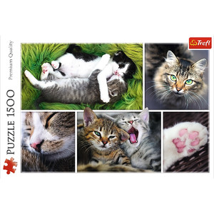 Trefl Jigsaw Puzzle Cats 1500pcs 12+
