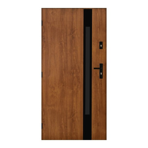 External Door Pantor Etna Black 90, left, gold oak