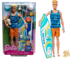 Barbie Doll Ken with Accessories HPT50 3+