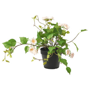 FEJKA Artificial potted plant, in/outdoor/Rose light pink, 12 cm