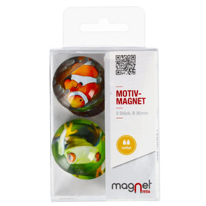 Glass Motiv Magnet 3.5cm 2pcs Fish/Frog