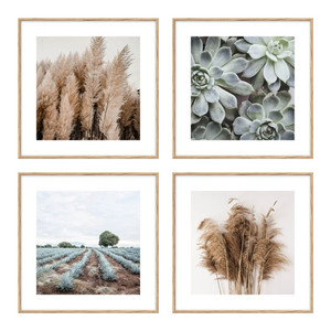 Picture Set Dried Plants & Succulents 30 x 30 cm 4-pack