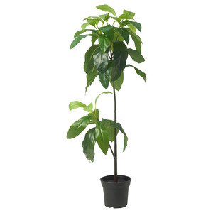 FEJKA Artificial potted plant, in/outdoor avocado, 15 cm