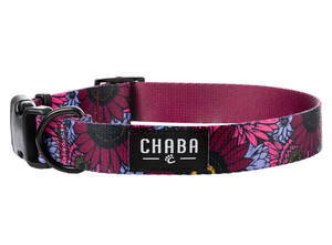 CHABA Adjustable Dog Collar Story III L Lakota