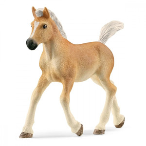 Schleich Haflinger Foal 5+