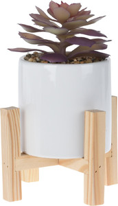 Artificial Plant Succulent, boho, purple