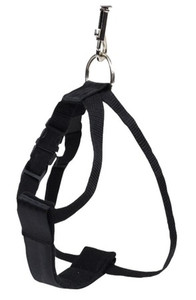 CHABA Dog Harness/Seat Belt Size XS