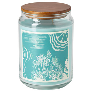 BUKETTAPEL Scented cndl in glass w lid/2 wicks, bergamot & cedarwood/pale green, 100 hr