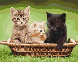 Symag Painting by Numbers Cats in a Basket 14+