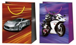 Gift Bag Cars 230x320, assorted, 10pcs