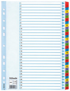 Esselte Index A4 Cardboard 1-31