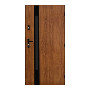 External Door Pantor Etna Black 90, right, gold oak