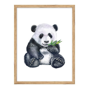 Picture Panda 30 x 40 cm