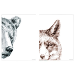 BILD Poster, bear and fox, 30x40 cm, 2 pack