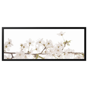 BJÖRKSTA Picture with frame, white flowers/black, 140x56 cm